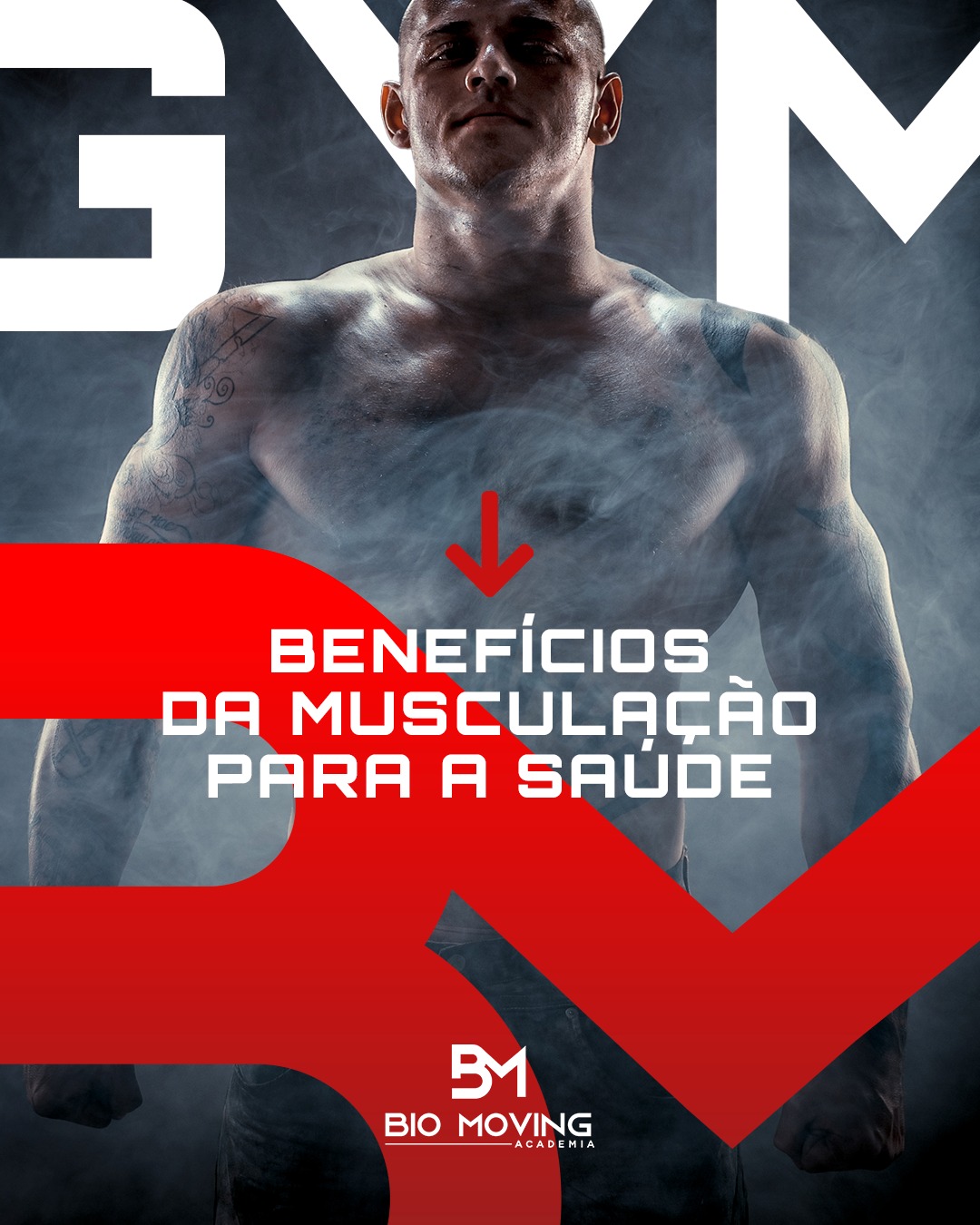 Projeto 1